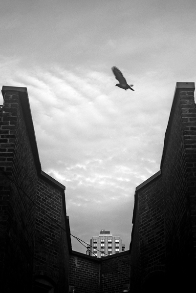 Aaron Johnston / Photography
