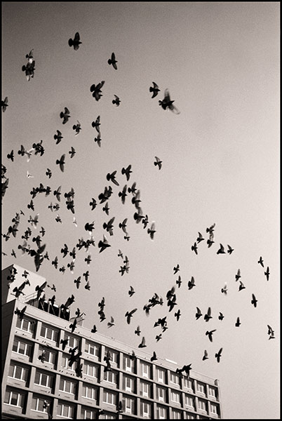 Aaron Johnston / Photography