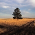 Aaron Johnston / Photography
