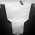 Aaron Johnston / Photography