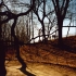 Aaron Johnston / Photography