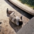 Aaron Johnston / Photography